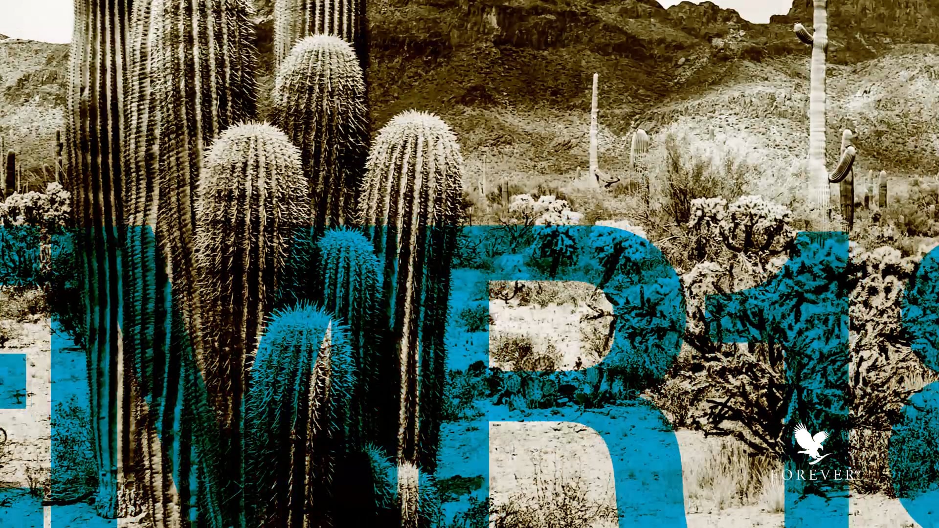 Eagle Manager's Retreat 2018 - Phoenix, Arizona