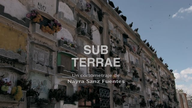 1. Sub Terrae