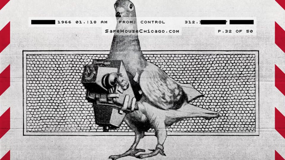 (QSR) SafeHouse: - “Pigeon” TVC / OLV 30s