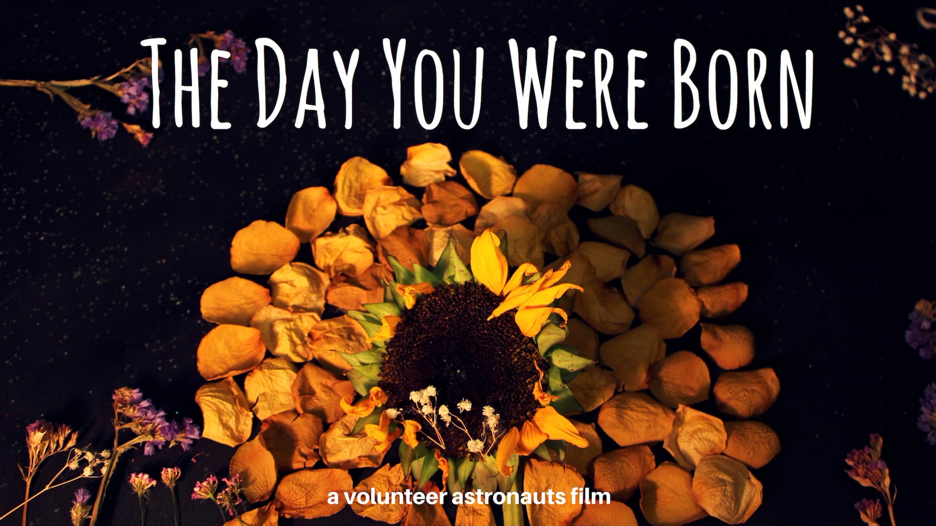 The Day You Were Born