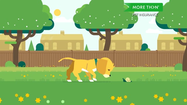 MORETHAN Pet Insurance ( V2 )
