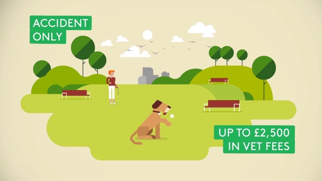 MORETHAN Pet Insurance ( V1 )