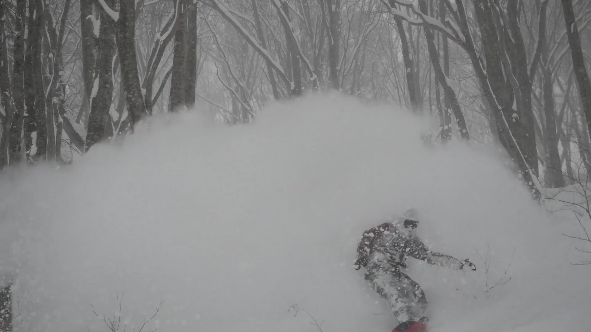 Circum Volution - Hakuba  