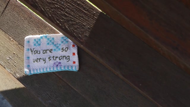 Betsy Greer, Craftivism