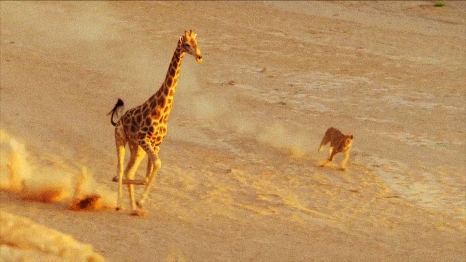 How Nature Documentaries Are Fake