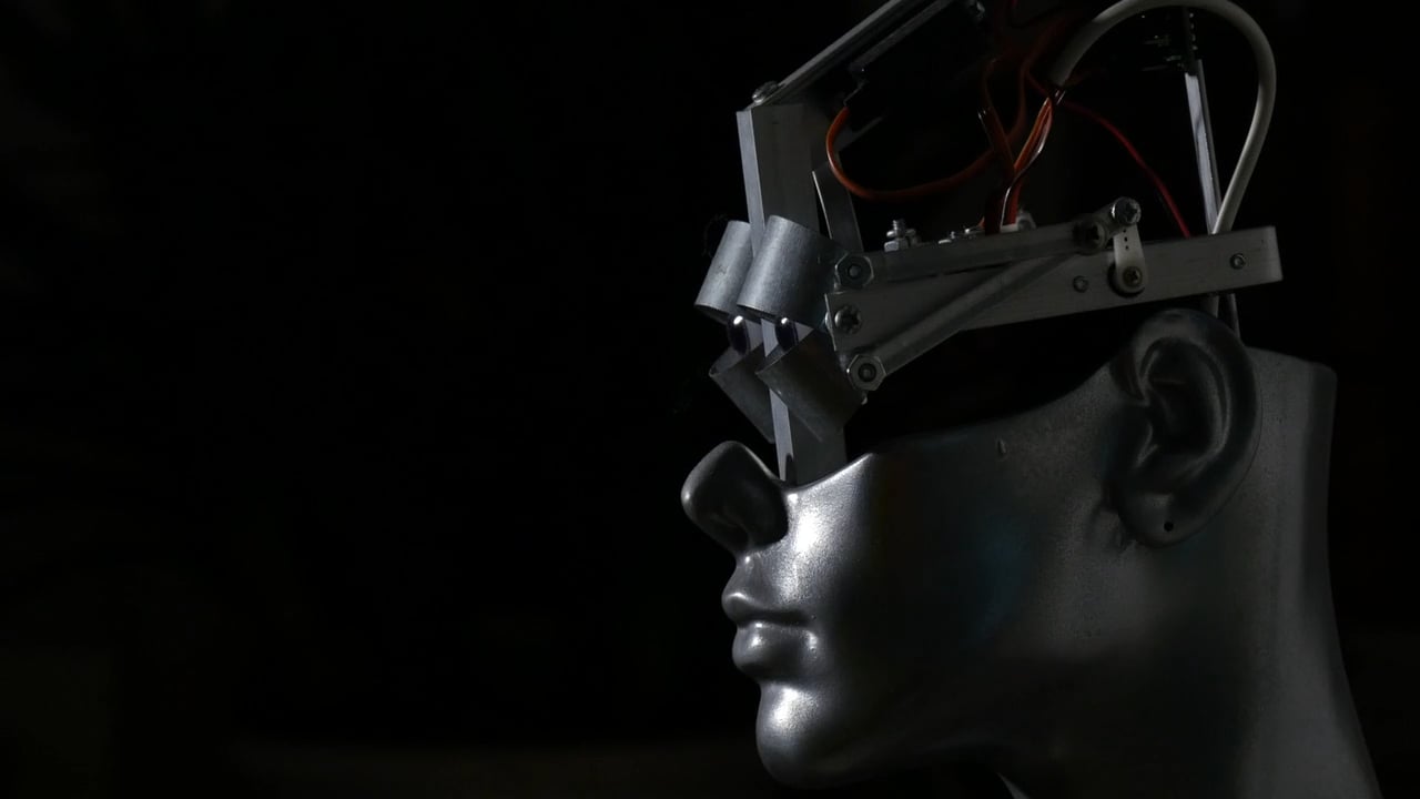 Ale Guzzetti - ROBOTIC PORTRAIT 2011