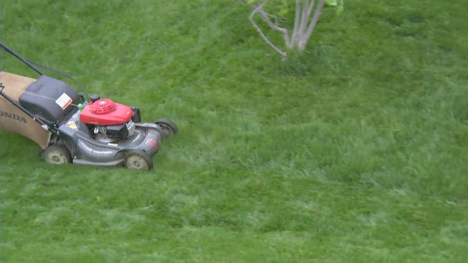 Tips from Toby – Mowing Essentials