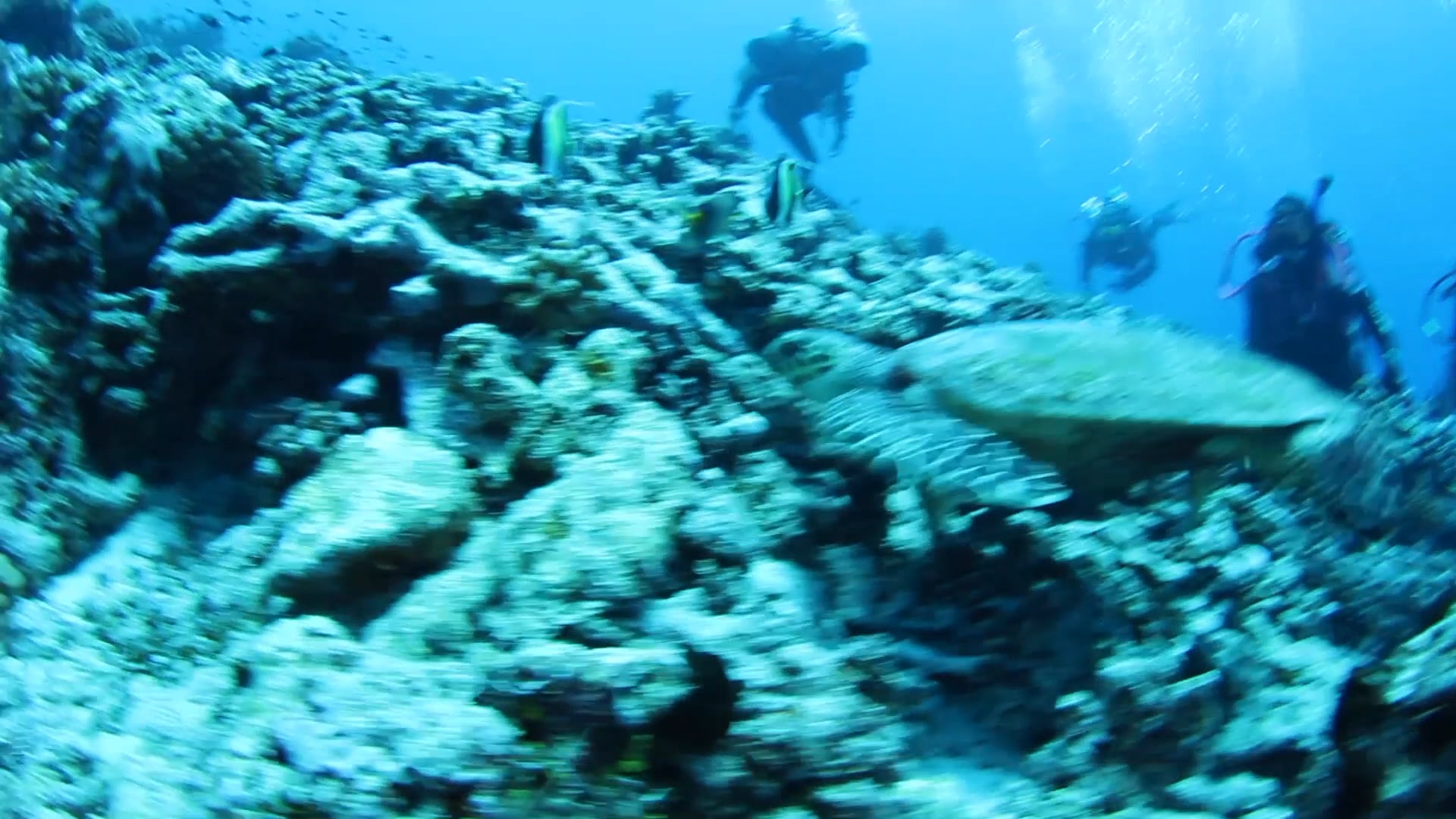 Tahiti 2017 Rough Draft on Vimeo