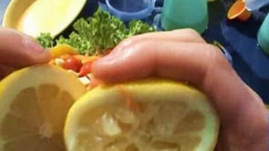 fic&ccedil;&atilde;o em portugu&ecirc;s