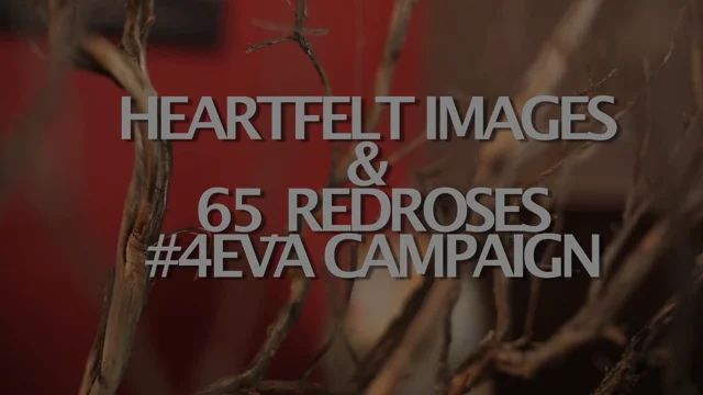 65 Redroses [DVD]