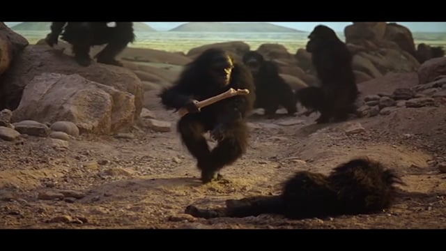 2001 a space odyssey apes
