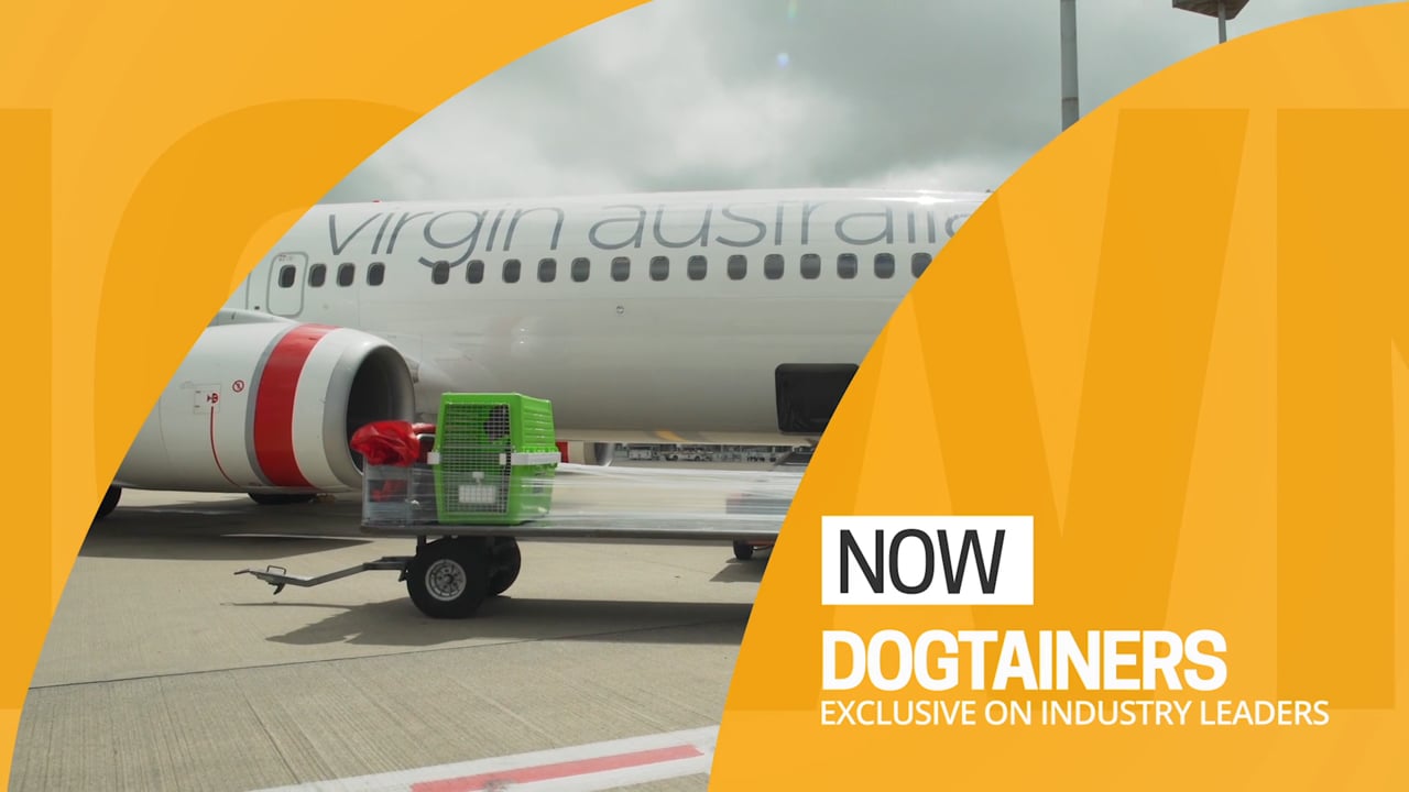 Dogtainers | Industry Leaders | TV Segment | Private Screening