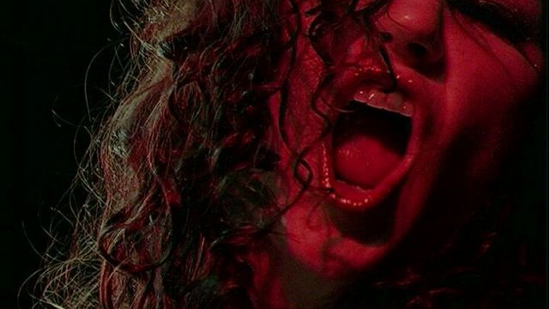 The Giraffes | 'Wage Earner'