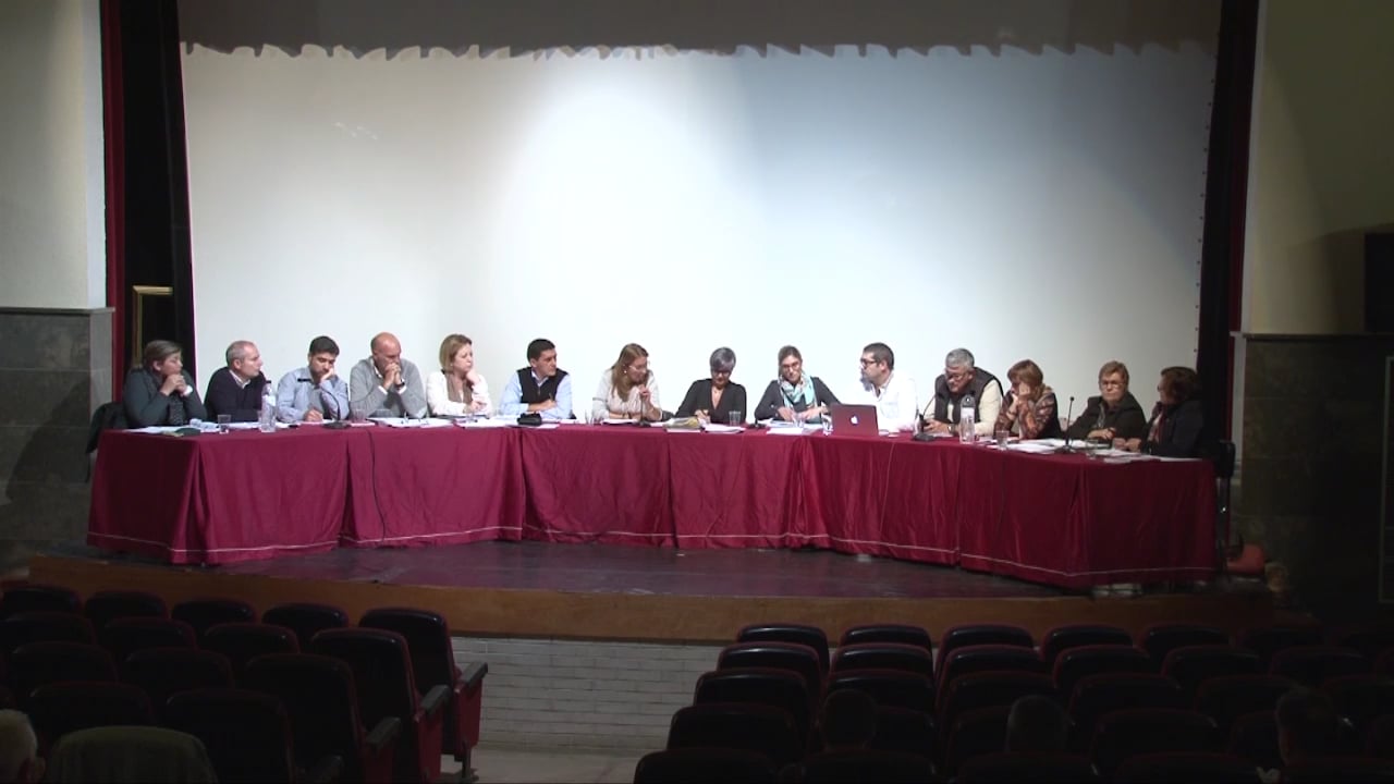 Ple municipal 5 de novembre de 2015 - punt3 part1