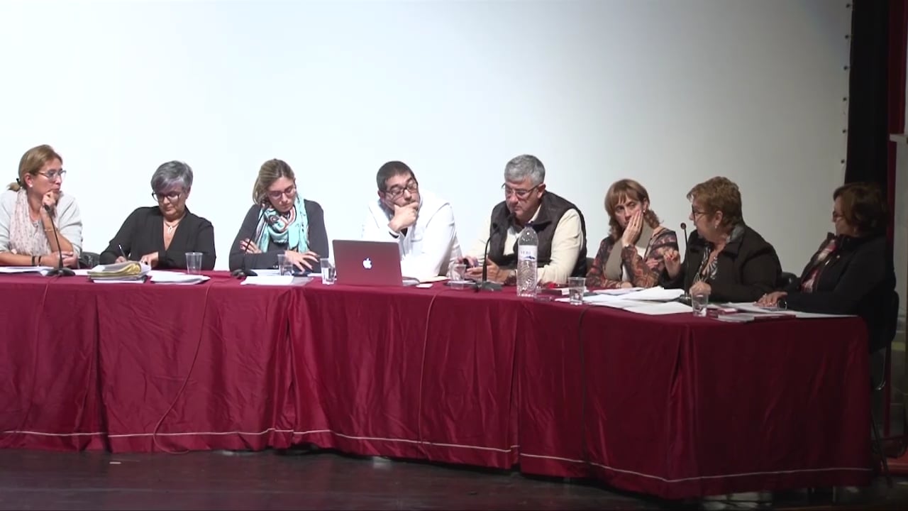Ple municipal 5 de novembre de 2015 - punt3 part2