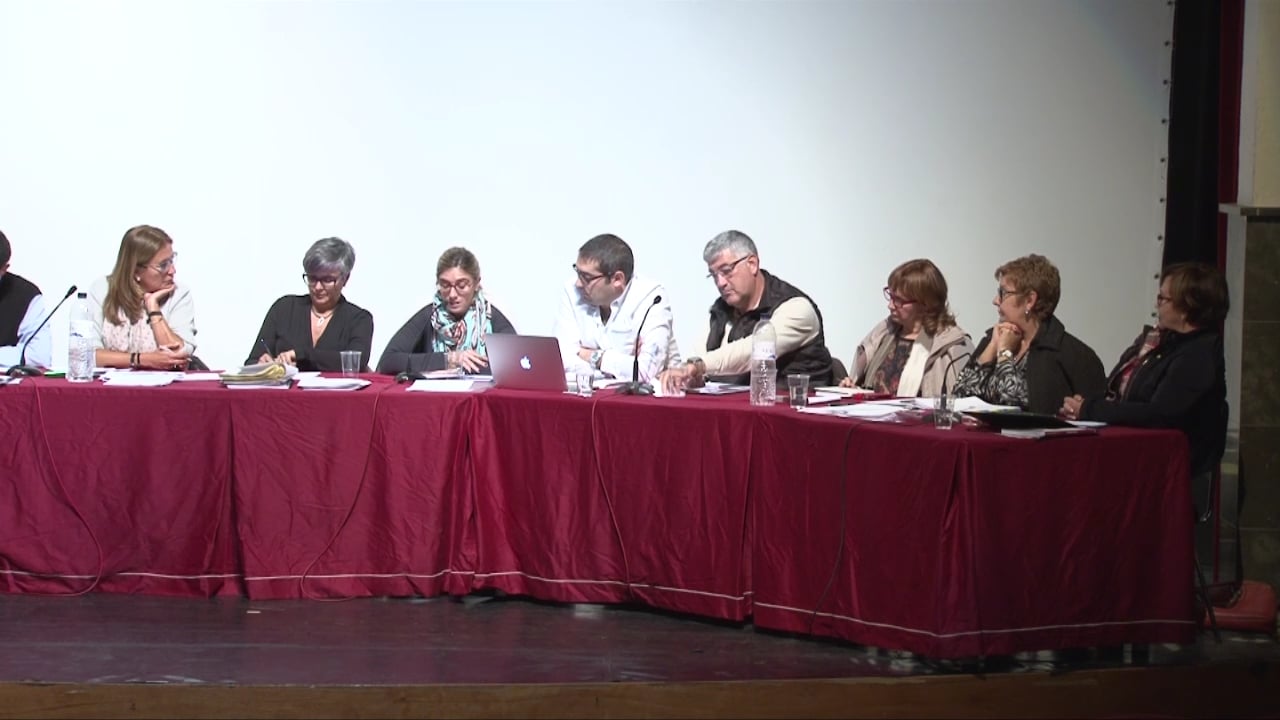 Ple municipal 5 de novembre de 2015 - punt3 part5