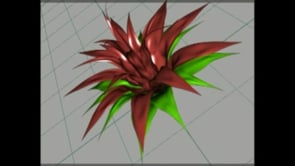 procedurale