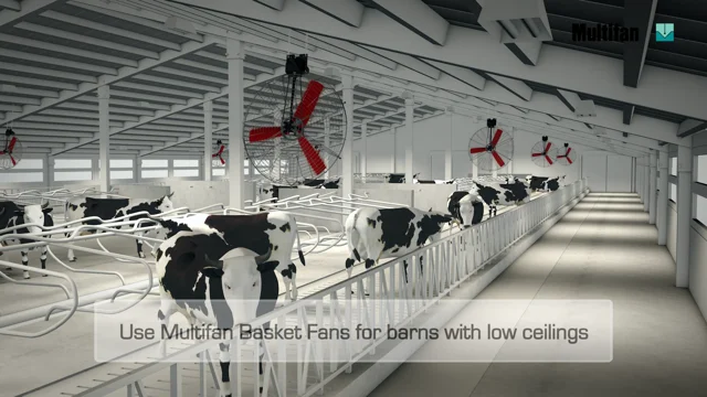 Multifan Dairy Fan - Vostermans Ventilation