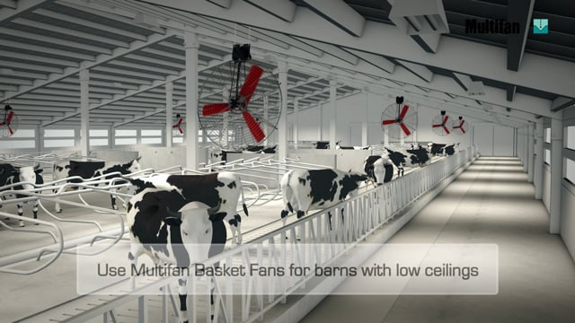 Multifan Dairy Fan  -  Vostermans Ventilation
