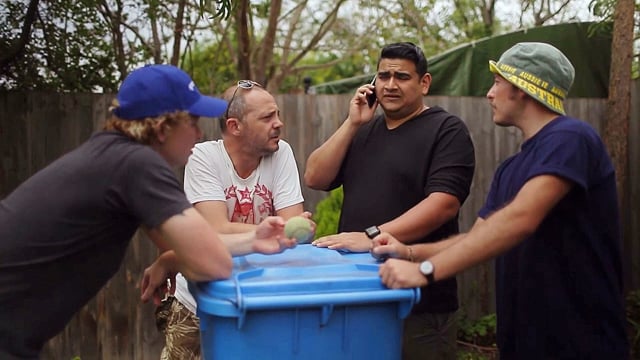 Back Yard Cricket Fights