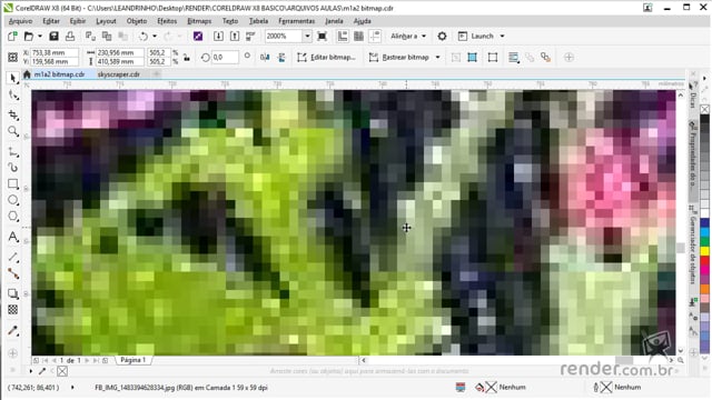M1A2 - Aprendendo sobre Imagens Bitmap e Vetorial