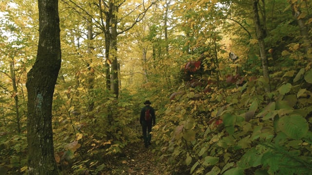 Hunger Mountain Trailer