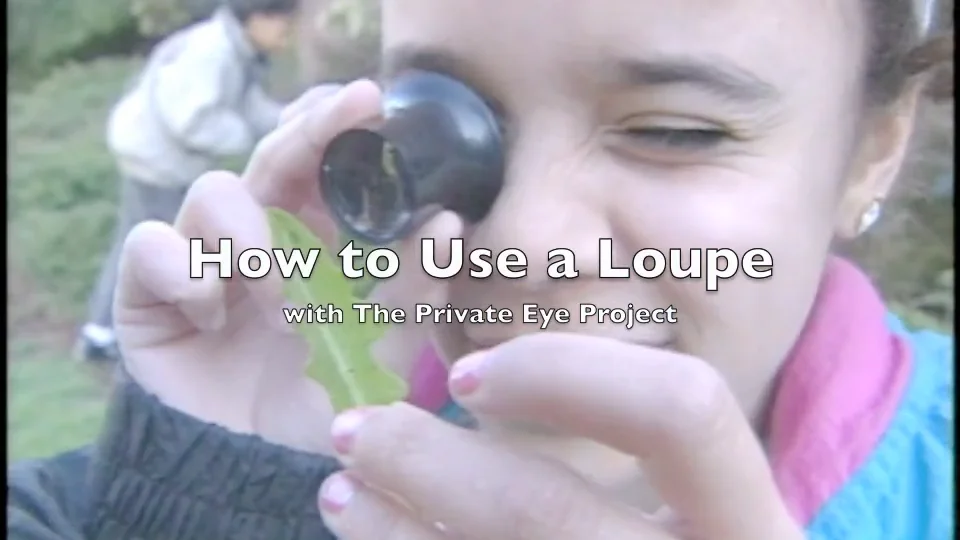 How to Use a Loupe with The Private Eye on Vimeo