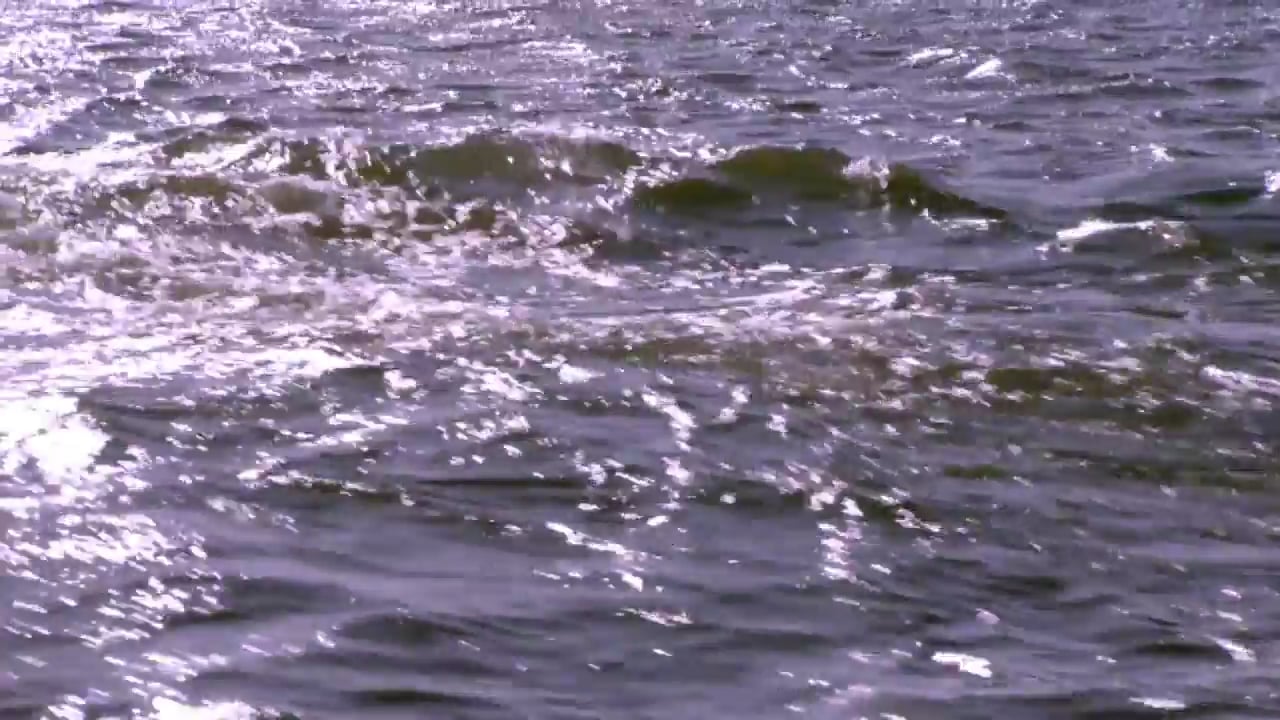 Bee Celtic Fhear A Bhata On Vimeo
