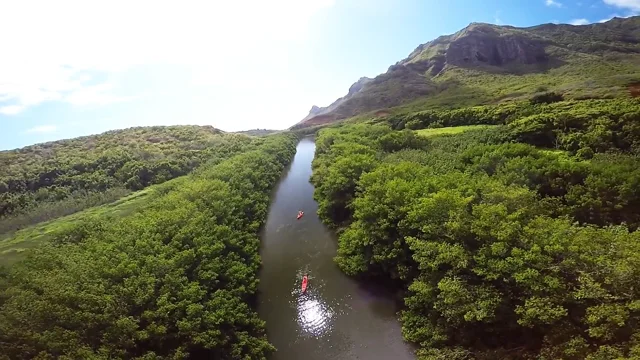 Secret Solitude Under Kauai's Waters