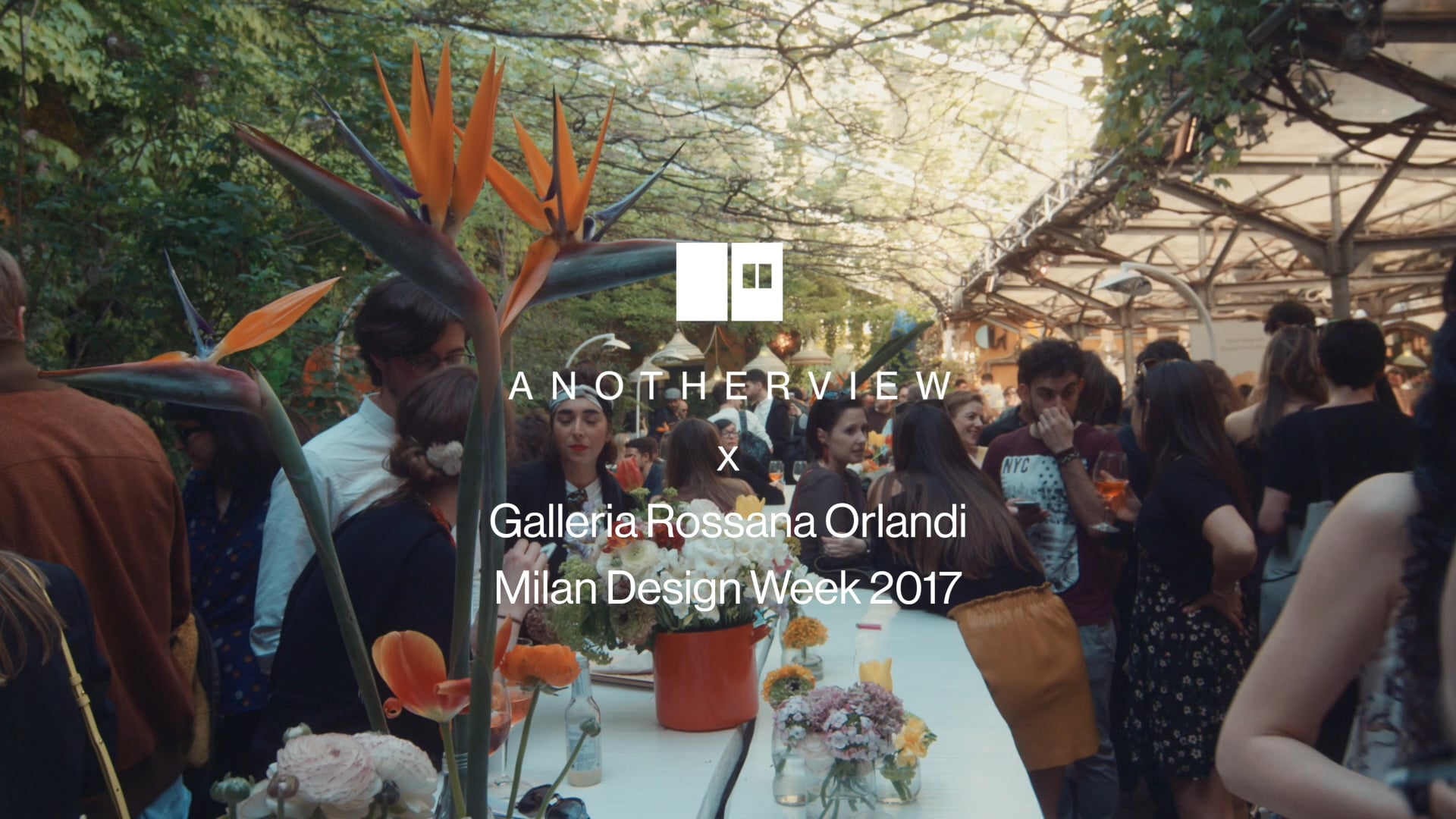 Anotherview at Rossana Orlandi gallery