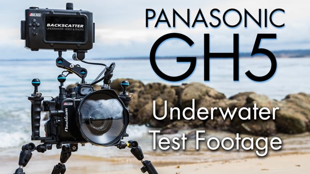 First Dive with Panasonic GH5 - Underwater Test Footage