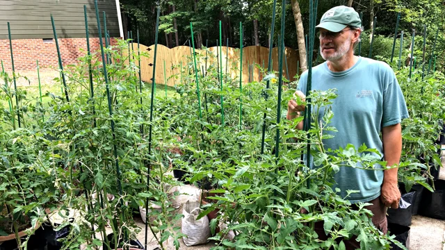 Too Many Tomatoes : Compost and the Chipper Shredder