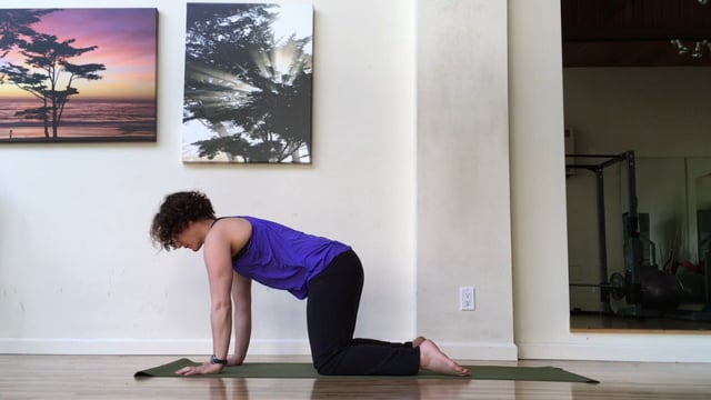 Special Guest Class: Pelvic Stability Practice w/Jenn Pilotti