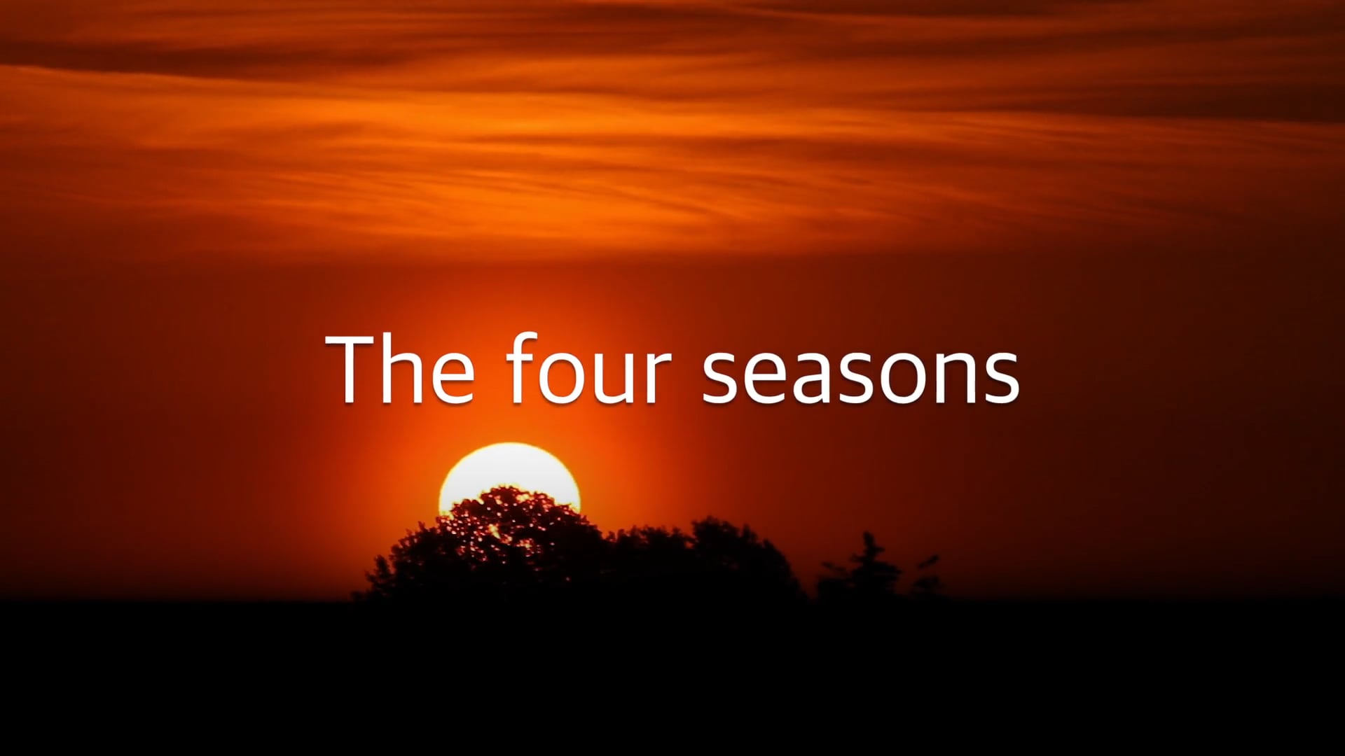 The four seasons - Timelapse on Vimeo