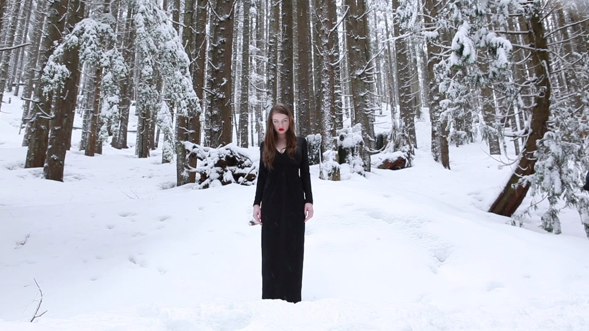 The Owls Are Not What They Seem