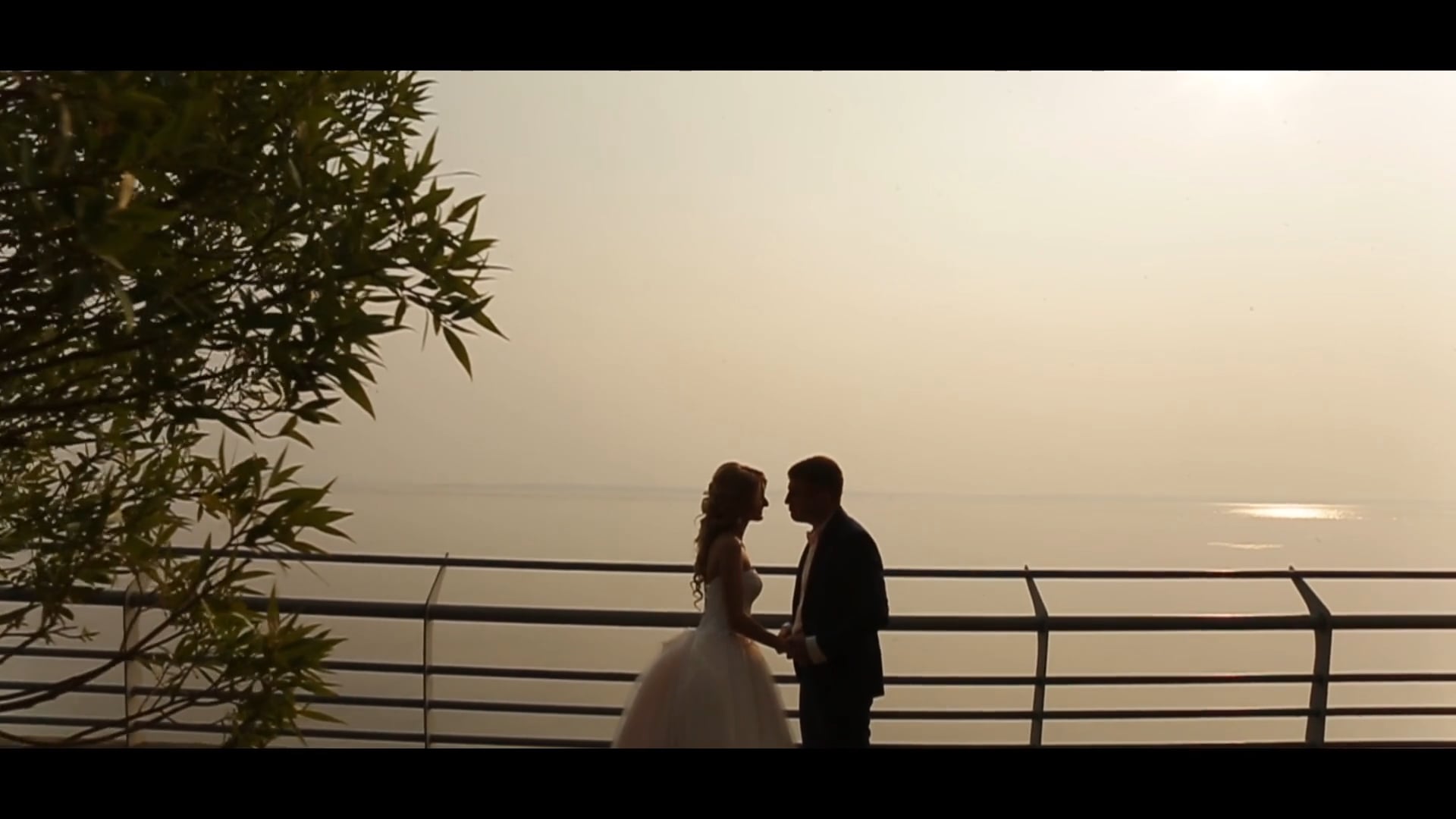 Dmitry & Anna wedding day