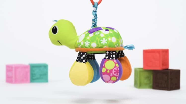 Infantino turtle mirror outlet pal