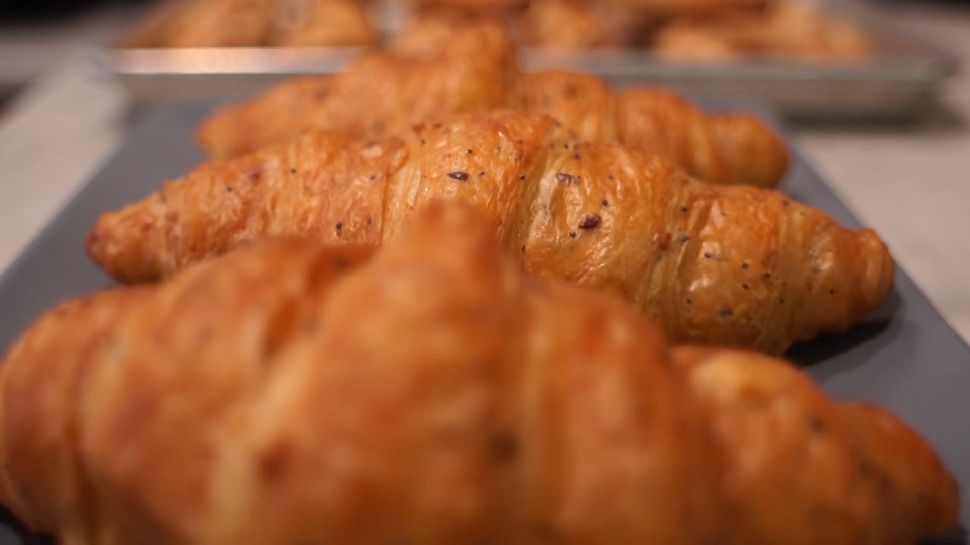 True Treps: Ancolie, NYC