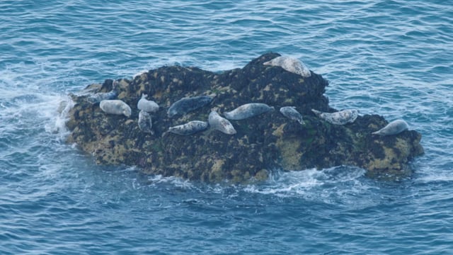 Boat Stories - Living and working on Lundy Island