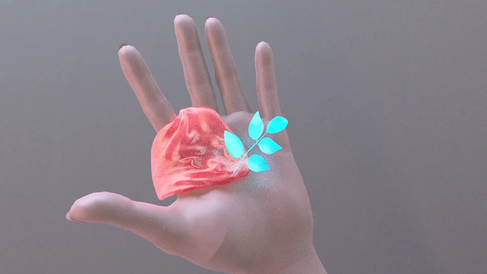 Spring on Vimeo
