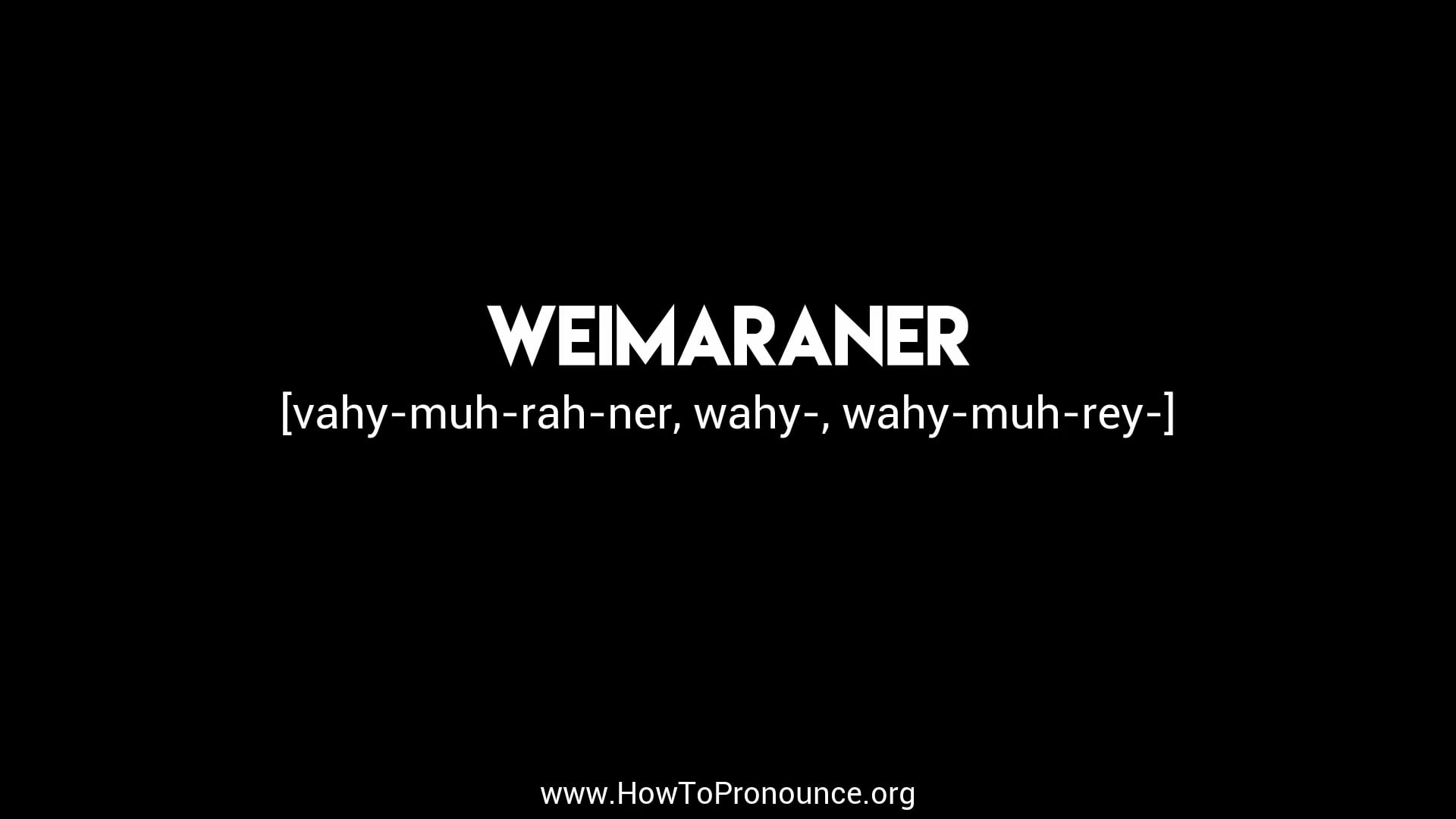 How to Pronounce weimaraner on Vimeo