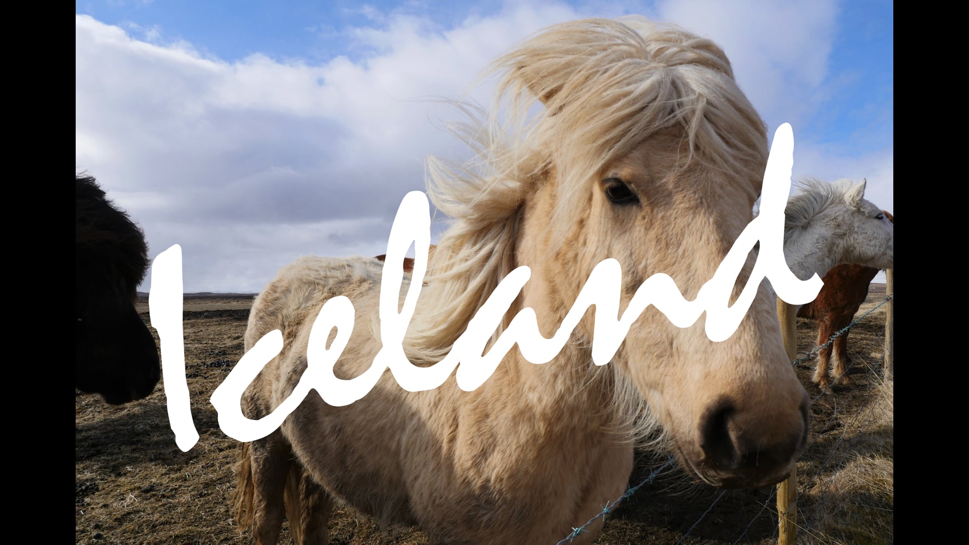 Iceland // 2017