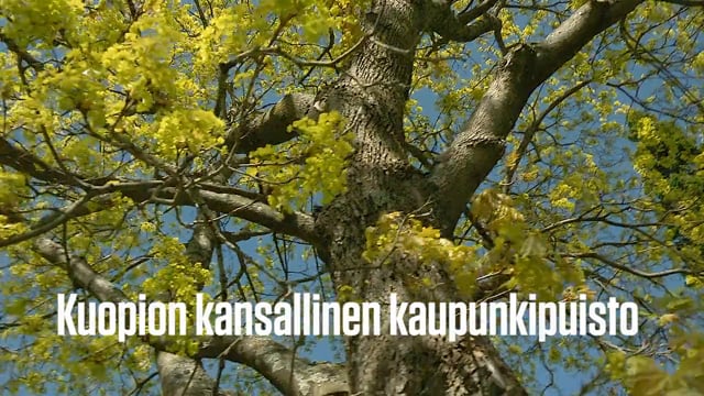 Kuopion kansallinen kaupunkipuisto
