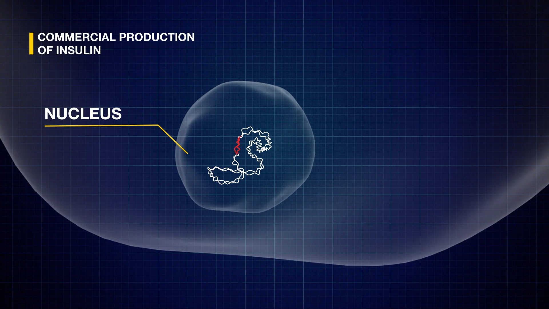 bbc-bitesize-biology-n5-genetic-engineering-on-vimeo