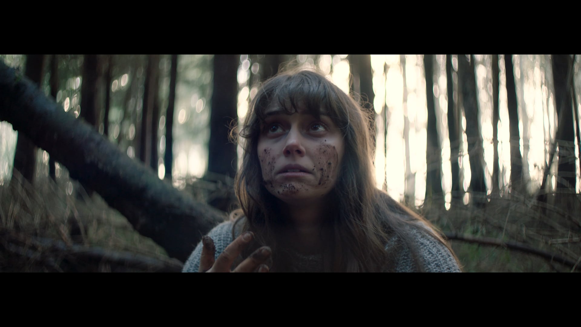 Circle - Teaser (1st AD) 2017