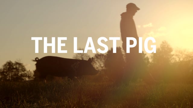 THE LAST PIG - Official Trailer