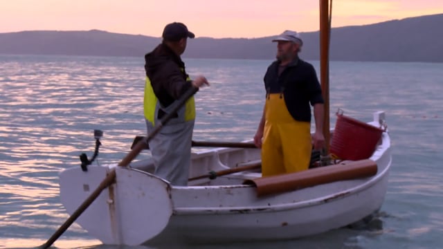 Boat Stories - Fishing for Clovelly herring