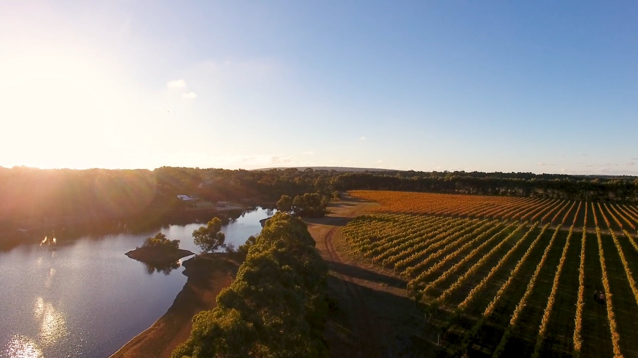 Stonefish Wines | Industry Leaders S03 | TV Segment pt1