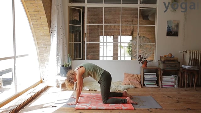 Zeven yogahoudingen tegen stress