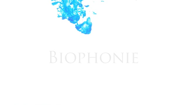 image du film 'Biophonie'